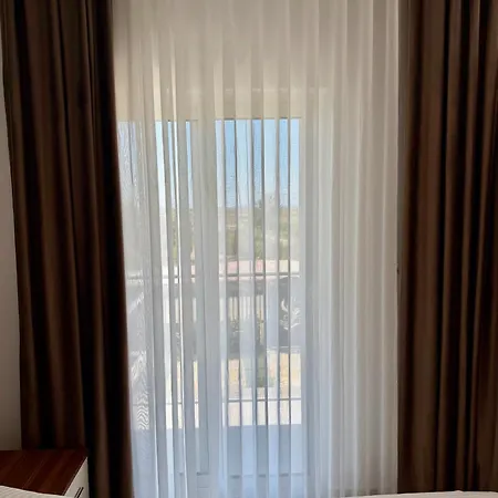 3 *